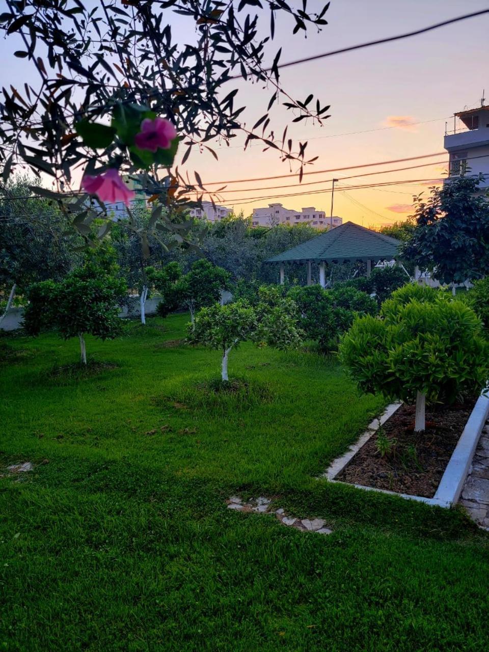 Vila Islami ドゥラス エクステリア 写真