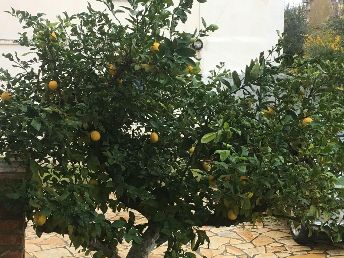 Vila Islami ドゥラス エクステリア 写真